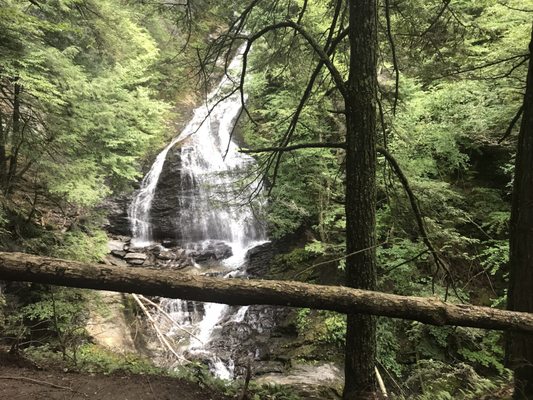 Moss Glen Falls by null