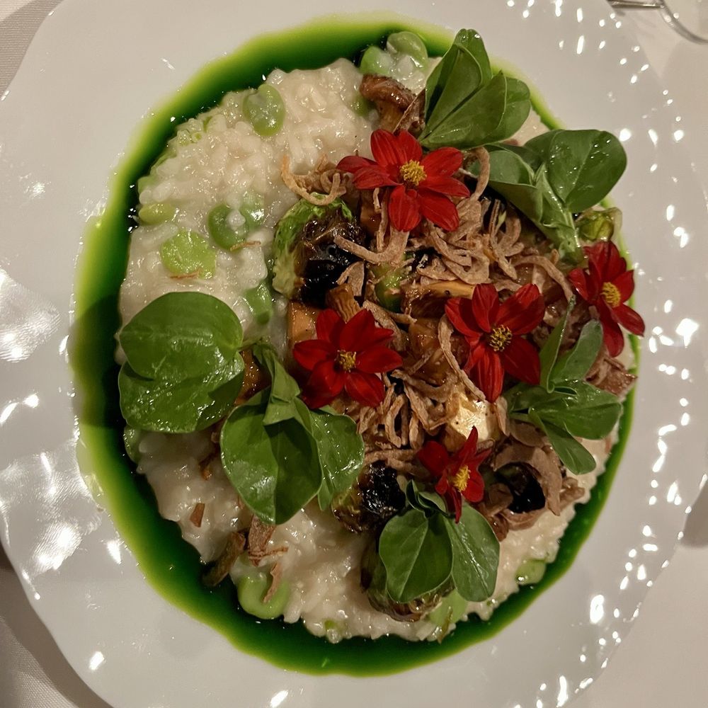 Vegetable risotto