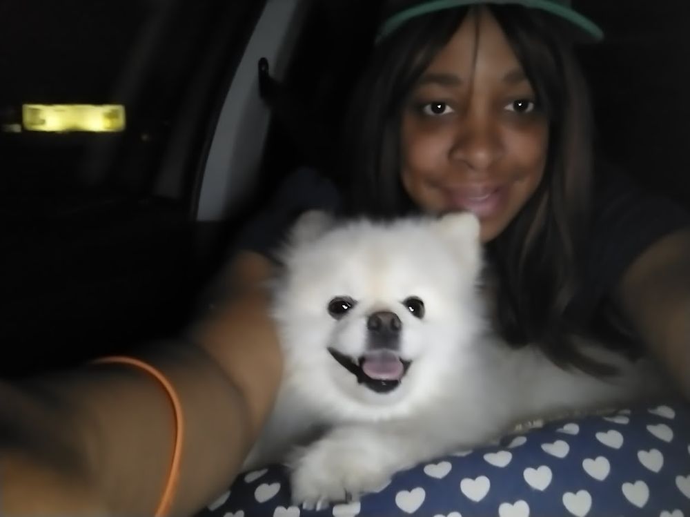 WALKER WILLIAMS PET SERVICES Updated June 2024 Request a Quote 15