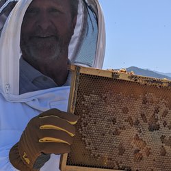 BEE LEAF USA