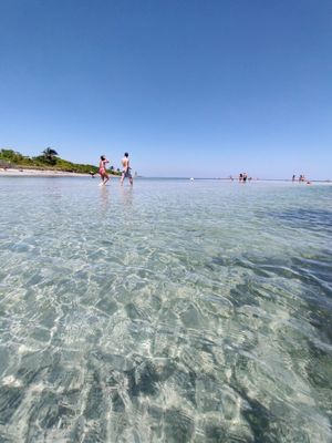 Crandon Park by null