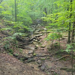 Cascades Preserve - Potentially amazing with some water flowing