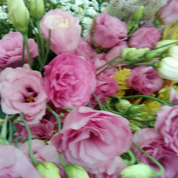 Eddy Farm - Beautiful summer blooms! - Farmers Market Near Me - Newington, Connecticut Eddy Farm - Beautiful summer blooms! - Farmers Market Near Me - Newington, Connecticut