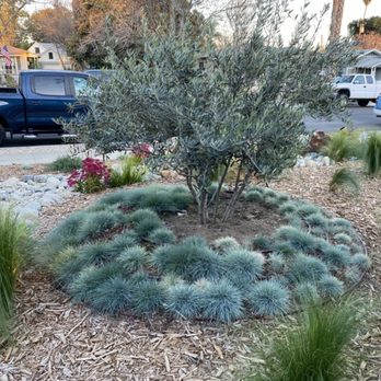 JR Landscape And Design - Landscaping Near Me