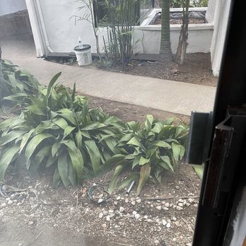 Vanllee Hotel & Suites - Property is dirty no patio - Hotels Near Me - Covina, California