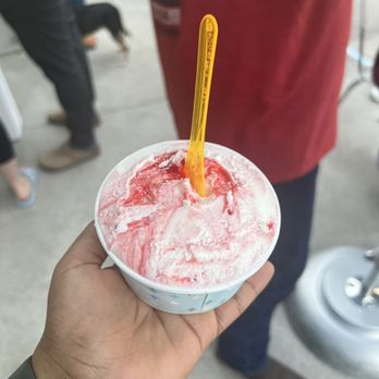 Frost Gelato - Strawberry yogurt - Gelato Near Me - Austin, Texas