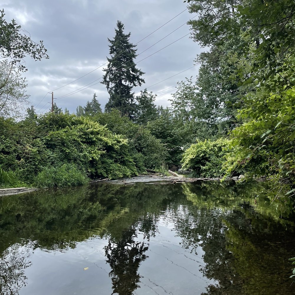 Wallace Swamp Creek Park - Parks Near Me - Kenmore, Washington Wallace Swamp Creek Park - Parks Near Me - Kenmore, Washington