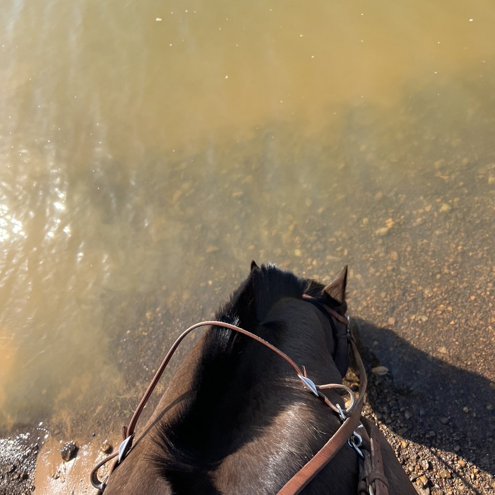 Widowmaker Trail Rides - Horseback Riding Near Me - Southlake, Texas Widowmaker Trail Rides - Horseback Riding Near Me - Southlake, Texas