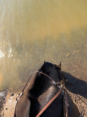 Widowmaker Trail Rides by null