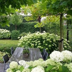 Chicago Landscaping - A beautiful garden