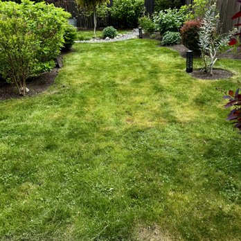 Mendoza Landscaping - Tidied yard. - Landscaping Near Me Mendoza Landscaping - Tidied yard. - Landscaping Near Me