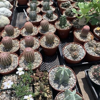 Green Touch Nursery - Nurseries & Gardening Near Me - Bellflower, California Green Touch Nursery - Nurseries & Gardening Near Me - Bellflower, California