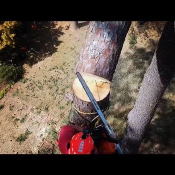 Tree Pro - Tree Pro. Inc is a tree pruning and tree trimming company that will ensure your unwanted wood is removed the day that you cal... - Tree Services Near Me - Killen, Alabama