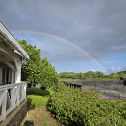 Rainbow during dinner
