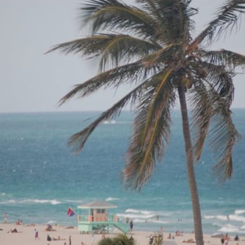 Clevelander - another view from the roof - Sports Bars Near Me - Miami Beach, Florida