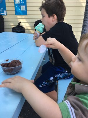 Wild Willy’s Ice Cream by null