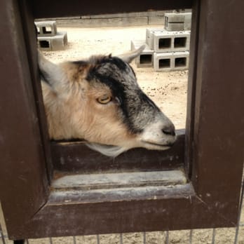 Frank Buck Zoo - Zoos Near Me - Gainesville, Texas