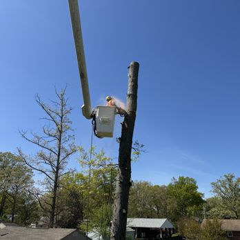 Emmanuel Tree experts - Tree Services Near Me