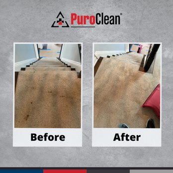 PuroClean - Biohazard Cleanup Near Me - Toms River, New Jersey PuroClean - Biohazard Cleanup Near Me - Toms River, New Jersey