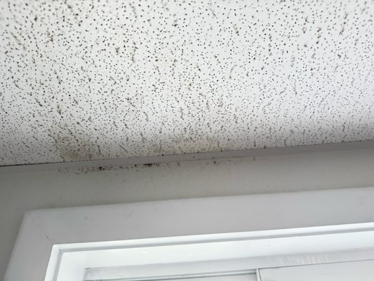 Admiral Hotel by null