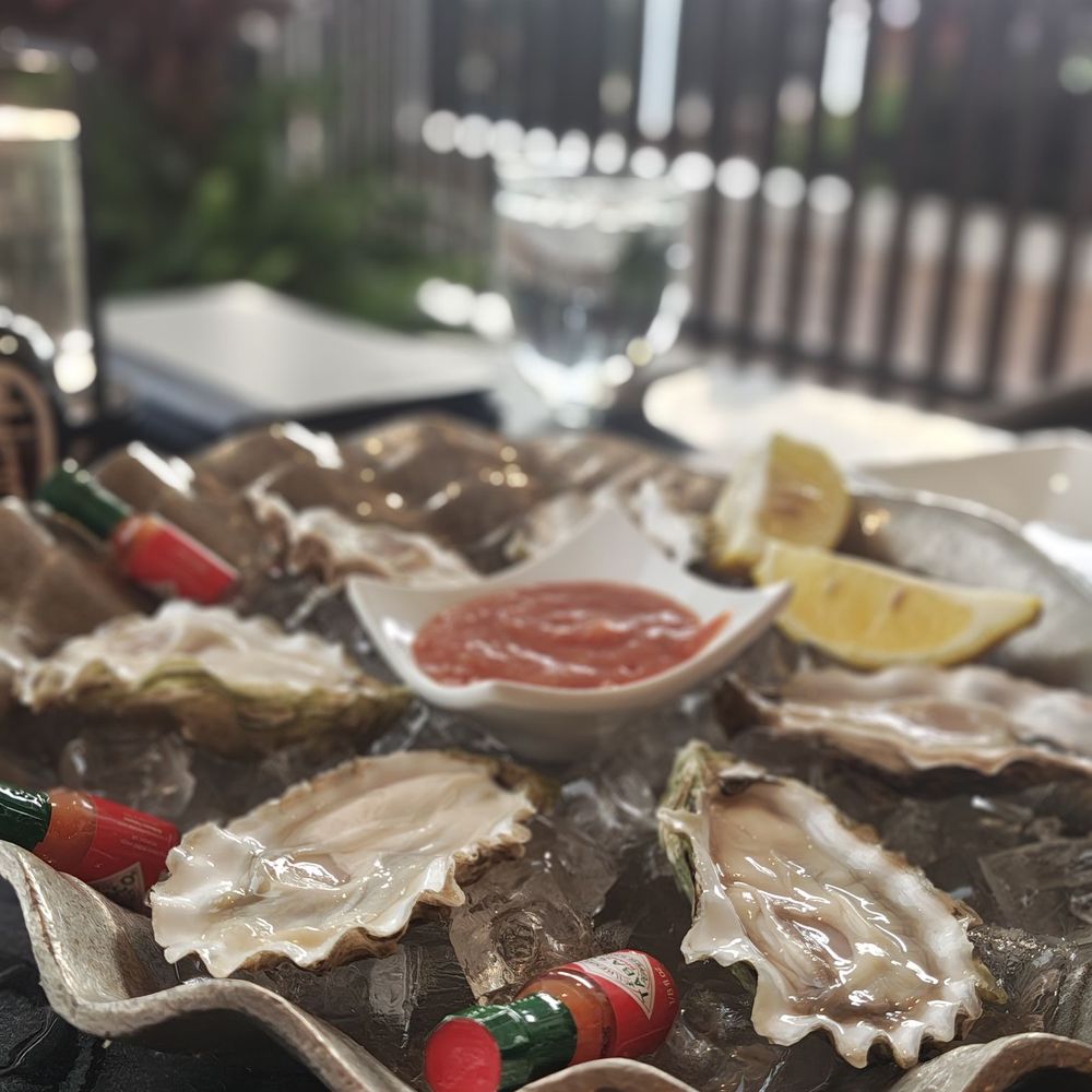 Oysters