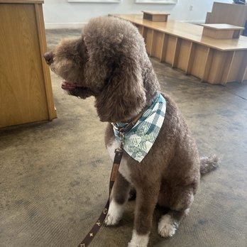 LA Pets Grooming - Pet Groomers Near Me - Diamond Bar, California