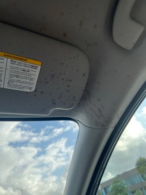 ACE Rent A Car by null