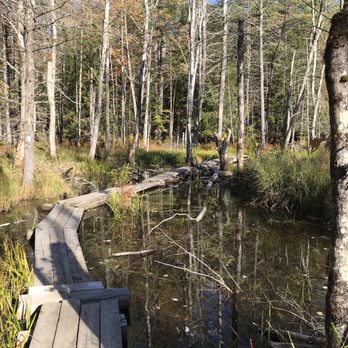 Quincy Bog Natural Area - Parks Near Me - Rumney, New Hampshire