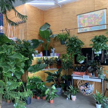 Pueblo - Nurseries & Gardening Near Me - Phoenix, Arizona