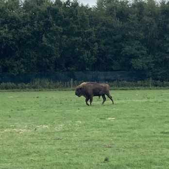 Fota Wildlife Park - Parks Near Me - Fota, Colorado