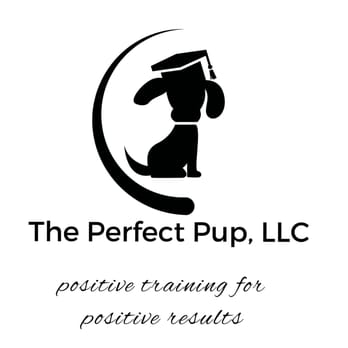 The Perfect Pup - Pet Training Near Me