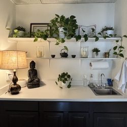 White Phoenix Wellness