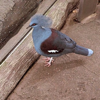 Moody Gardens - Museums Near Me - Galveston, Texas Moody Gardens - Museums Near Me - Galveston, Texas