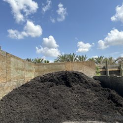 Three Sisters Nursery
