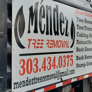 Mendez Tree Removal And Trimming - Tree Services Near Me Mendez Tree Removal And Trimming - Tree Services Near Me