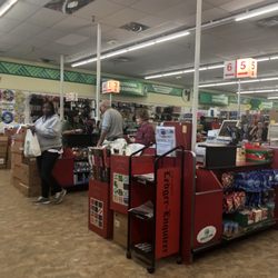 Dollar Tree - Inside