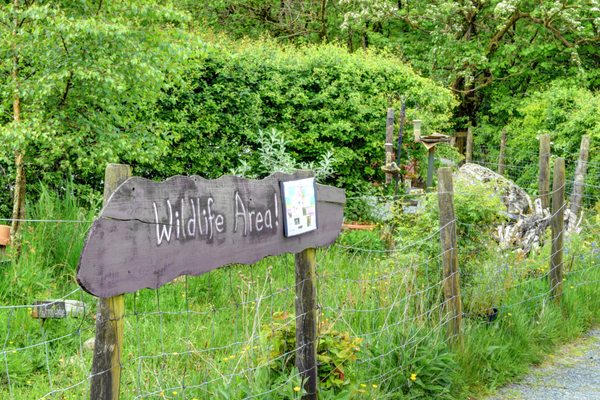 YHA Borrowdale by null