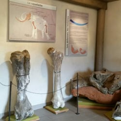 Musée de Paléontologie de Chilhac