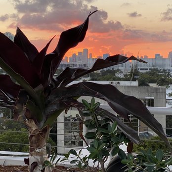 Serena - Sunset at the Serena Rooftop Restaurant. - Mexican Near Me - Miami Beach, Florida