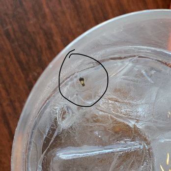 Eight AM - Tiny cockroach in my water - New American Near Me - San Francisco, California Eight AM - Tiny cockroach in my water - New American Near Me - San Francisco, California