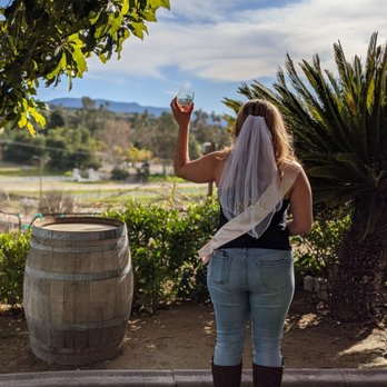 Temecula Valley Cable Car Wine Tours - Wine Tours Near Me - Temecula, California