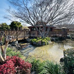 a bridge over a small pond