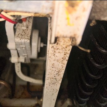 Park West Apartments - Dead Roaches - Apartments Near Me - Chino, California Park West Apartments - Dead Roaches - Apartments Near Me - Chino, California