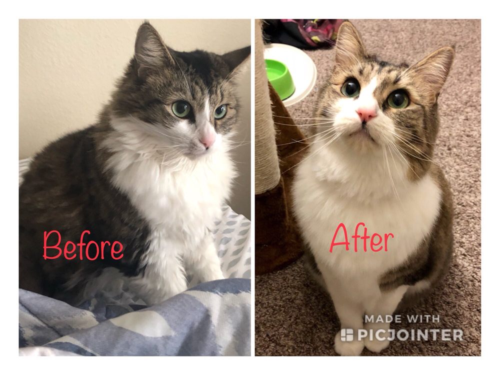 PINKIEPOO CLOSED 120 Photos & 105 Reviews 3331 Balmoral Dr