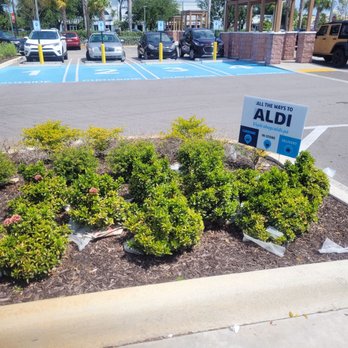 ALDI - Litter - Grocery Near Me - Boynton Beach, Florida