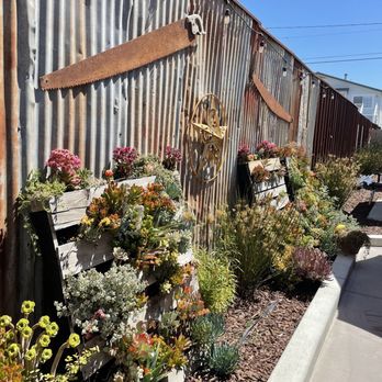 Cups & Crumbs - Back patio succulent garden - Creperies Near Me - Orcutt, California Cups & Crumbs - Back patio succulent garden - Creperies Near Me - Orcutt, California