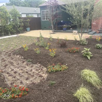 Artscape Gardens - Front yard - Landscaping Near Me - Los Angeles, California