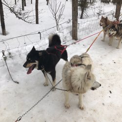 Expedition Wolf - Break time!