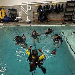 Dive N' Surf