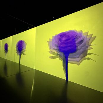 Arte Museum - Art Museums Near Me - New York, New York Arte Museum - Art Museums Near Me - New York, New York